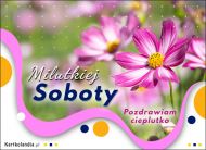 eKartki Kartki elektroniczne - Kwiaty Miłej Soboty!, 