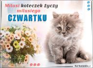 eKartki Codzienne - Dni Tygodnia Milusi koteczek życzy milusiego Czwartku, 