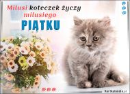 eKartki Kartki elektroniczne - Powitanie Milusi koteczek życzy milusiego Piątku, 