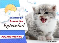 eKartki Kartki elektroniczne - Wtorkowe Pozdrowienia Milusiego Czwartku Koteczku, 