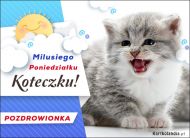 eKartki Kartki elektroniczne - Kot Milusiego Poniedziałku Koteczku, 