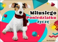 eKartki Kartki elektroniczne - Pies Milusiego Poniedziałku życzę..., 