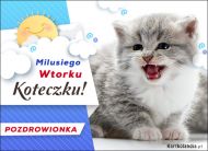 eKartki Kartki elektroniczne - Śmieszne kartki Milusiego Wtorku Koteczku, 