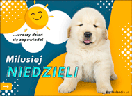 eKartki Kartki elektroniczne - Pies Milusiej Niedzieli!, 