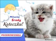 eKartki Kartki elektroniczne - Kot Milusiej Środy Koteczku!, 
