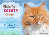 eKartki Kartki elektroniczne - Zwierzęta Milusiej Soboty Kotku, 