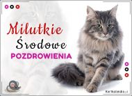 eKartki Kartki elektroniczne - Kot Milutkie Środowe pozdrowienia!, 