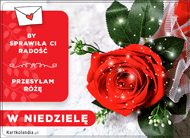 eKartki Kartki elektroniczne - Ela Przesyłam różę w Niedzielę, 