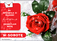 eKartki Codzienne - Dni Tygodnia Przesyłam różę w Sobotę, 