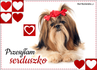 eKartki Kartki elektroniczne - Pies Przesyłam serduszko!, 