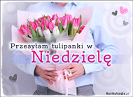 eKartki Kartki elektroniczne - Tulipan Przesyłam tulipanki w Niedzielę, 