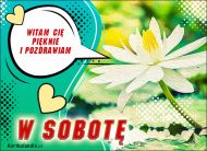 eKartki Kartki elektroniczne - Kwiaty Witam Cię pięknie i pozdrawiam w Sobotę, 