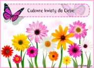 eKartki Kartki elektroniczne - Kartki kwiaty online Pocztówka z kwiatami, 