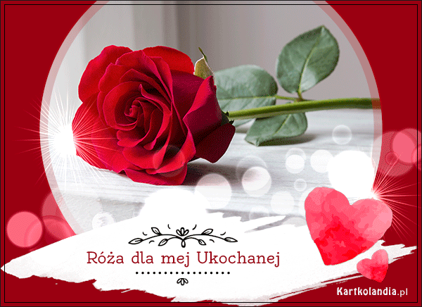 Róża dla mej ukochanej...