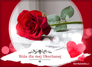 eKartki Kwiaty Róża dla mej ukochanej..., 