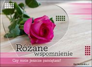 eKartki Kartki elektroniczne - Róża Różane wspomnienie, 