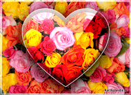 eKartki Kartki elektroniczne - Walentynki Różane zauroczenie, 
