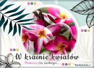 eKartki Kartki elektroniczne - e-Kartka kwiaty W krainie kwiatów..., 